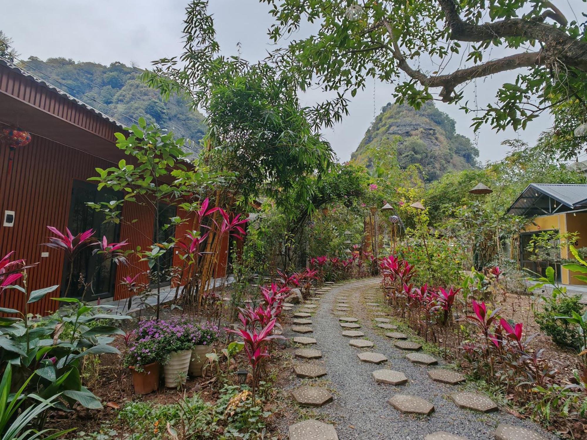 Green Valley Homestay - Thung Lung Xanh Nguyen Ngoai المظهر الخارجي الصورة