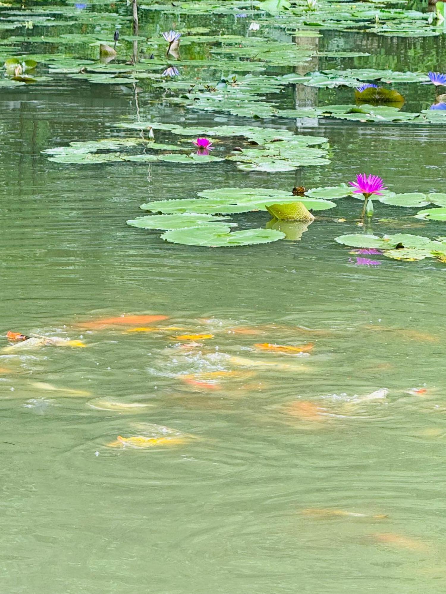 Green Valley Homestay - Thung Lung Xanh Nguyen Ngoai المظهر الخارجي الصورة